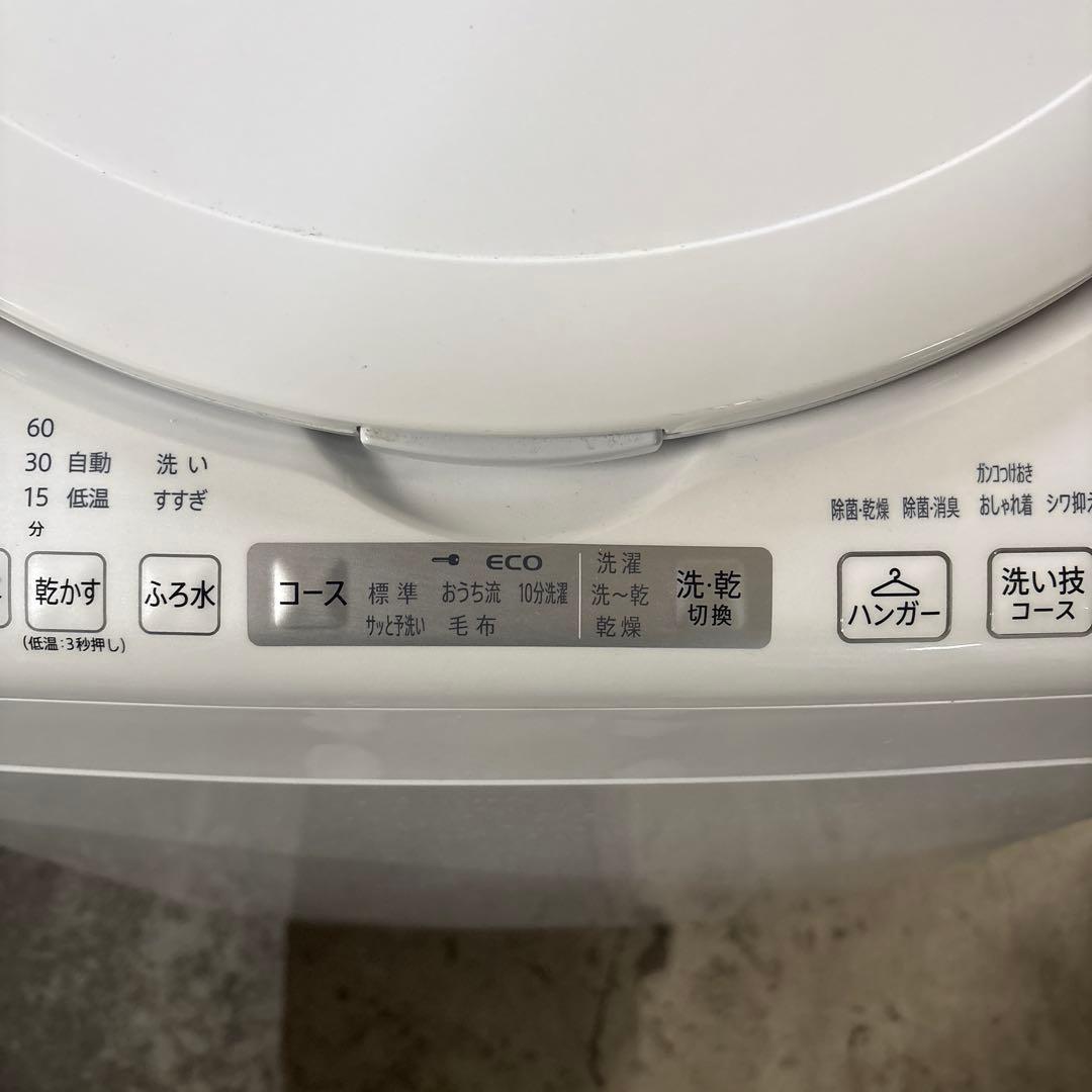 SHARP ES-TX8G-W 電気洗濯機 8.0kg 2023年製　美品