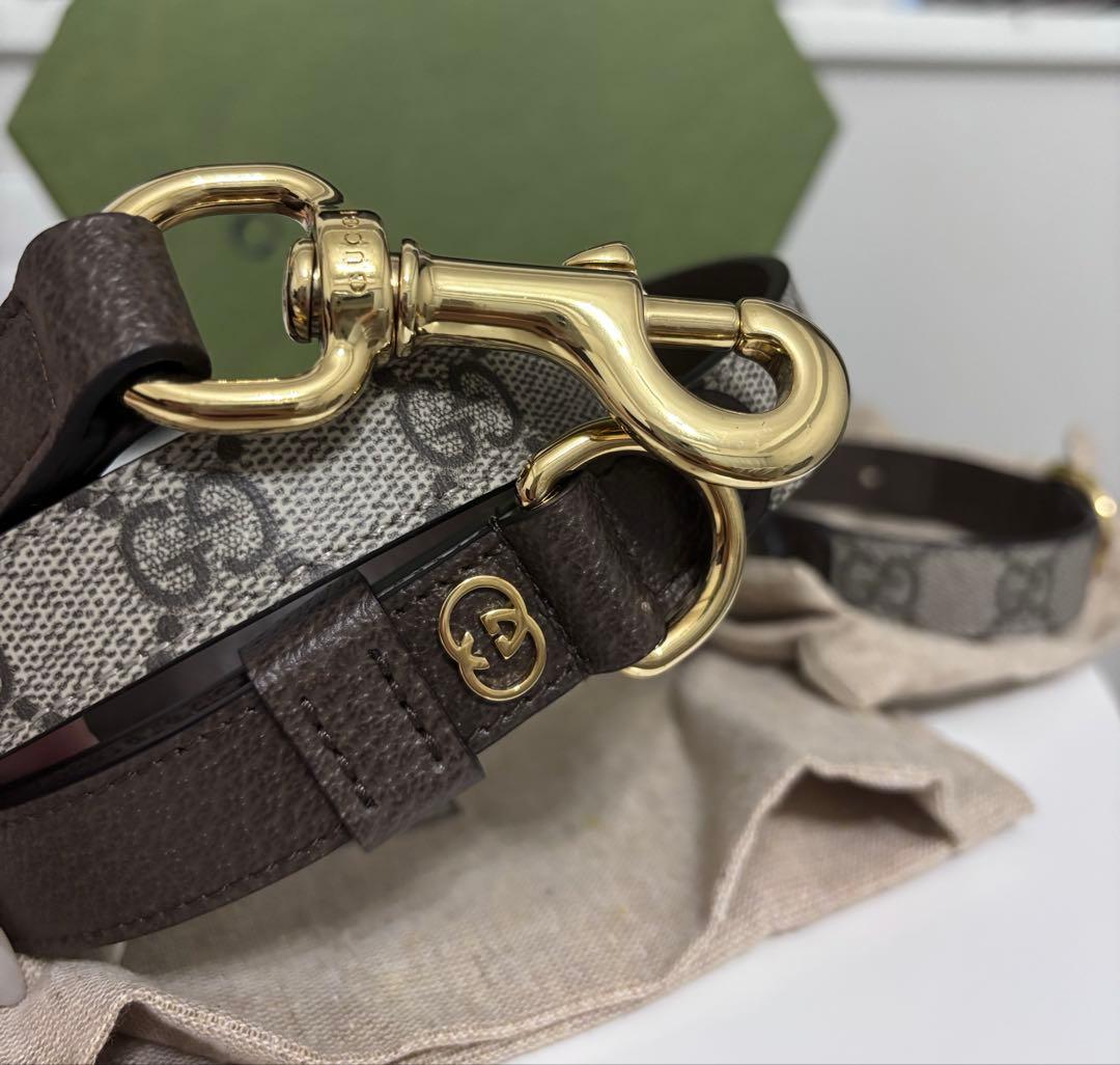 GUCCI ペット　カラー　リード　首輪