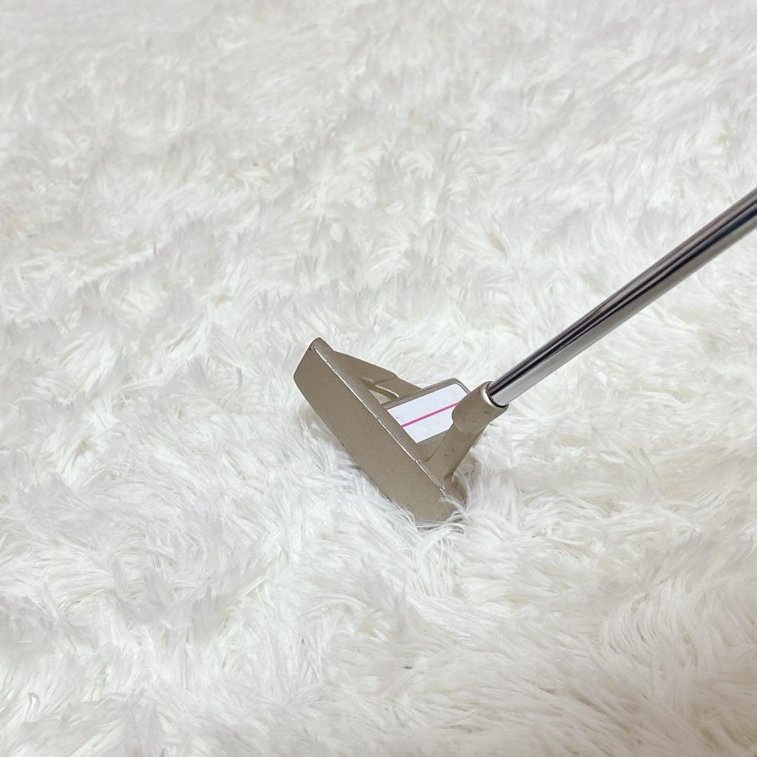 ワールドイーグル FL-01 V2 レディースクラブセット 10本 L 初心者