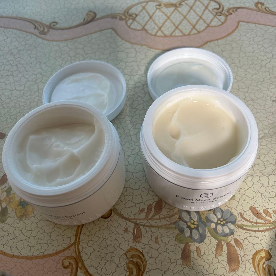 ルネセルマジックシステム　1 と　2セットで