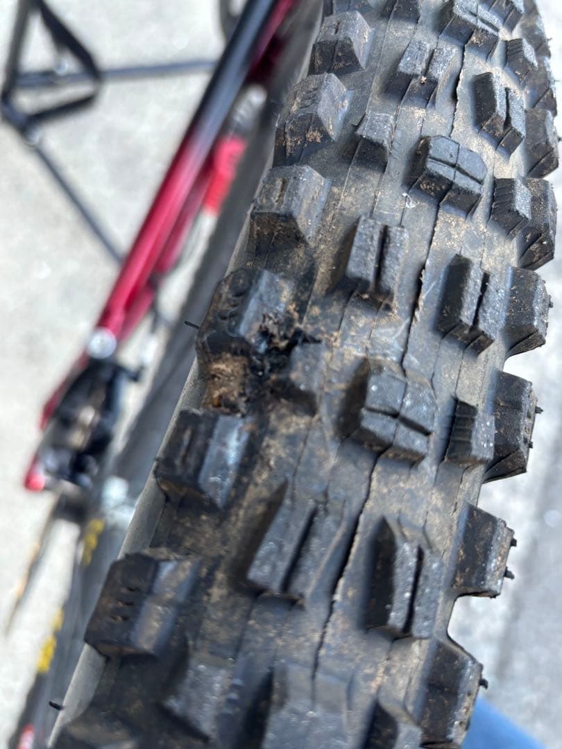 自転車本体 Specialized Demo Race 2021