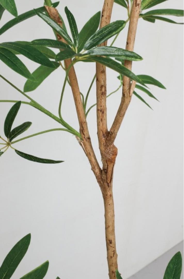光触媒　人工観葉植物　フェイクグリーン　シェフレラアンガスティホォリア180
