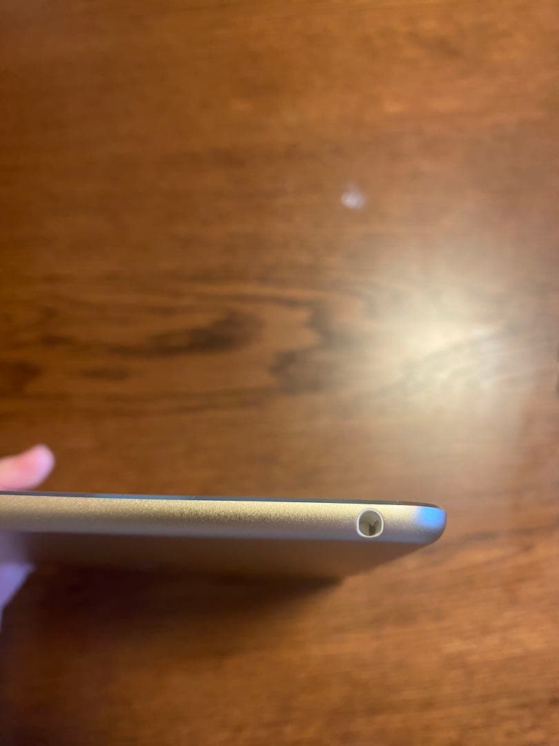 dragon様 【24時間有効】iPad mini4ゴールド 128G