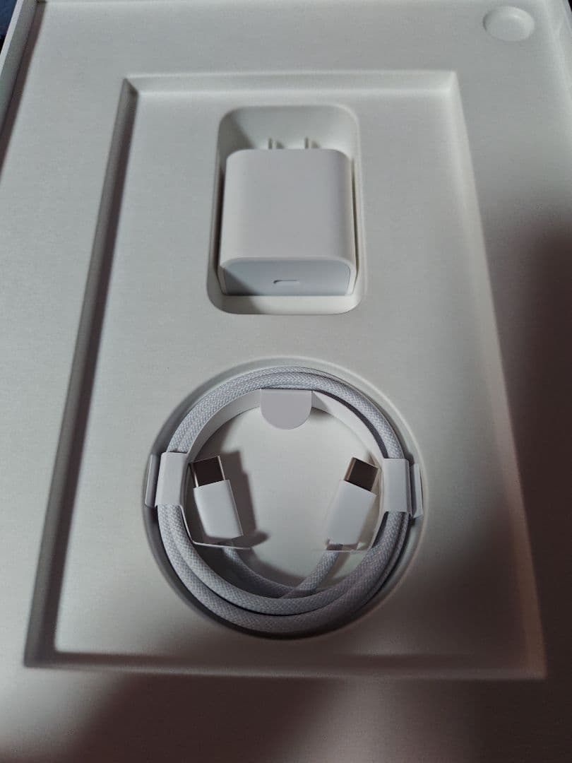 iPad (A16) Wi-Fi 128GB 本体　+おまけ