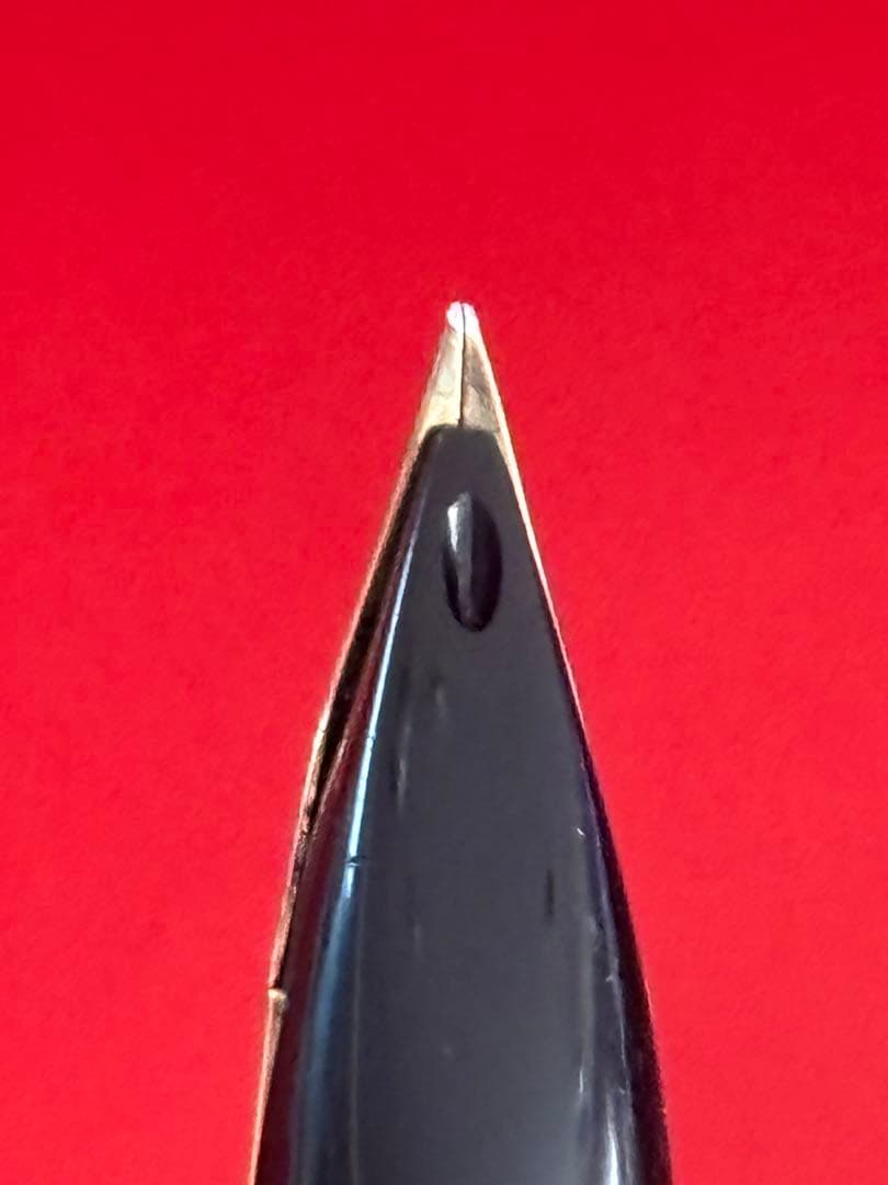 希少 美品 PILOTパイロット 万年筆 スターリングシルバー素材 家紋 18K