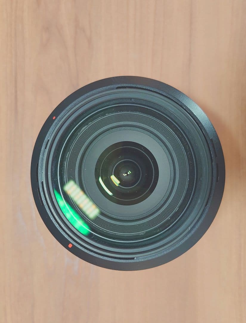 Sony DT 16-50mm F2.8 SSM レンズ