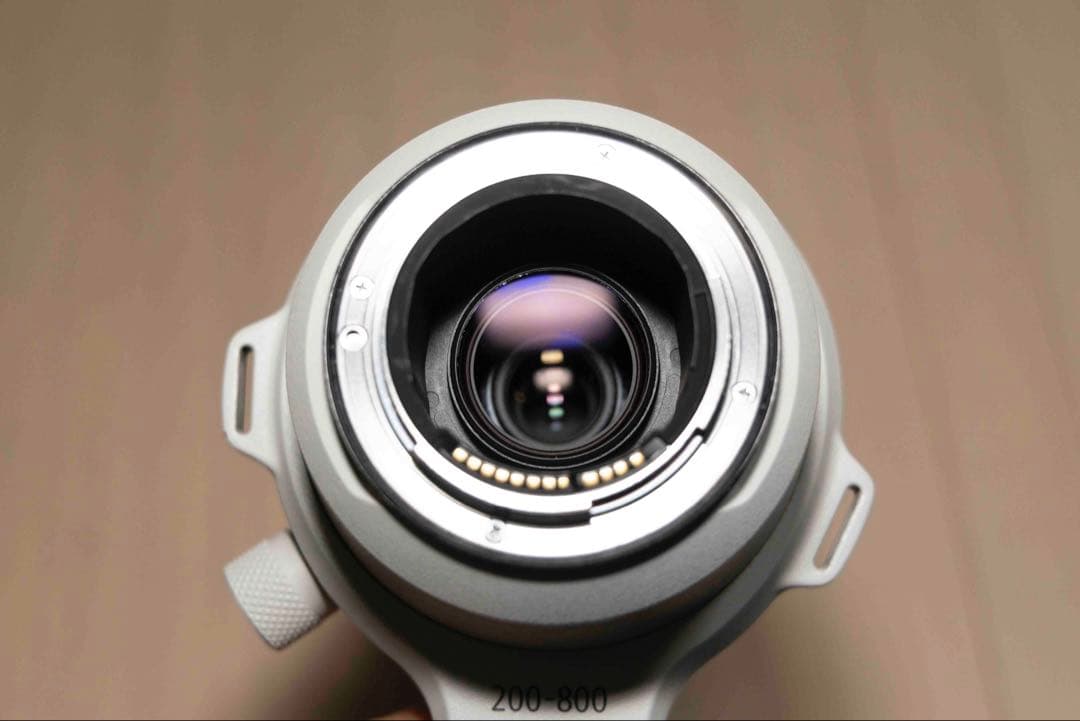 アリ Canon RF 200-600mm F4.5-5.6 USM