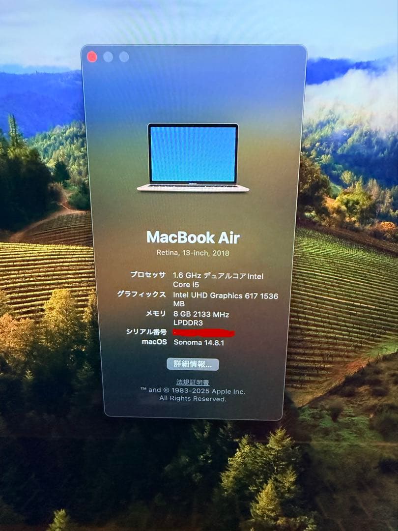 Apple MacBook Air 2018 ローズゴールド 本体