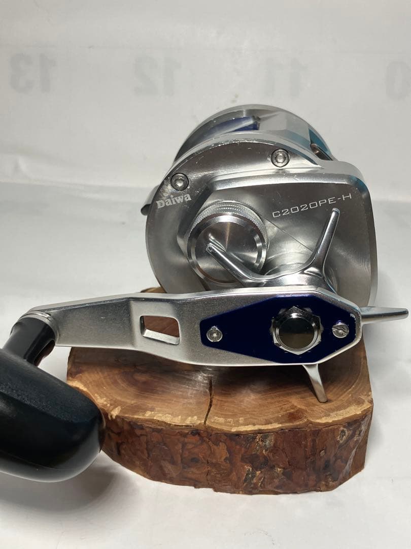 ダイワリョウガC2020PEH 0118-1