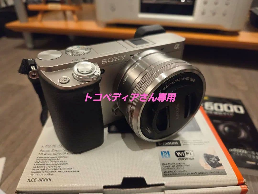 【美品.おまけ多数】ソニー α6000 ケース、チャージャー、ガイド本付