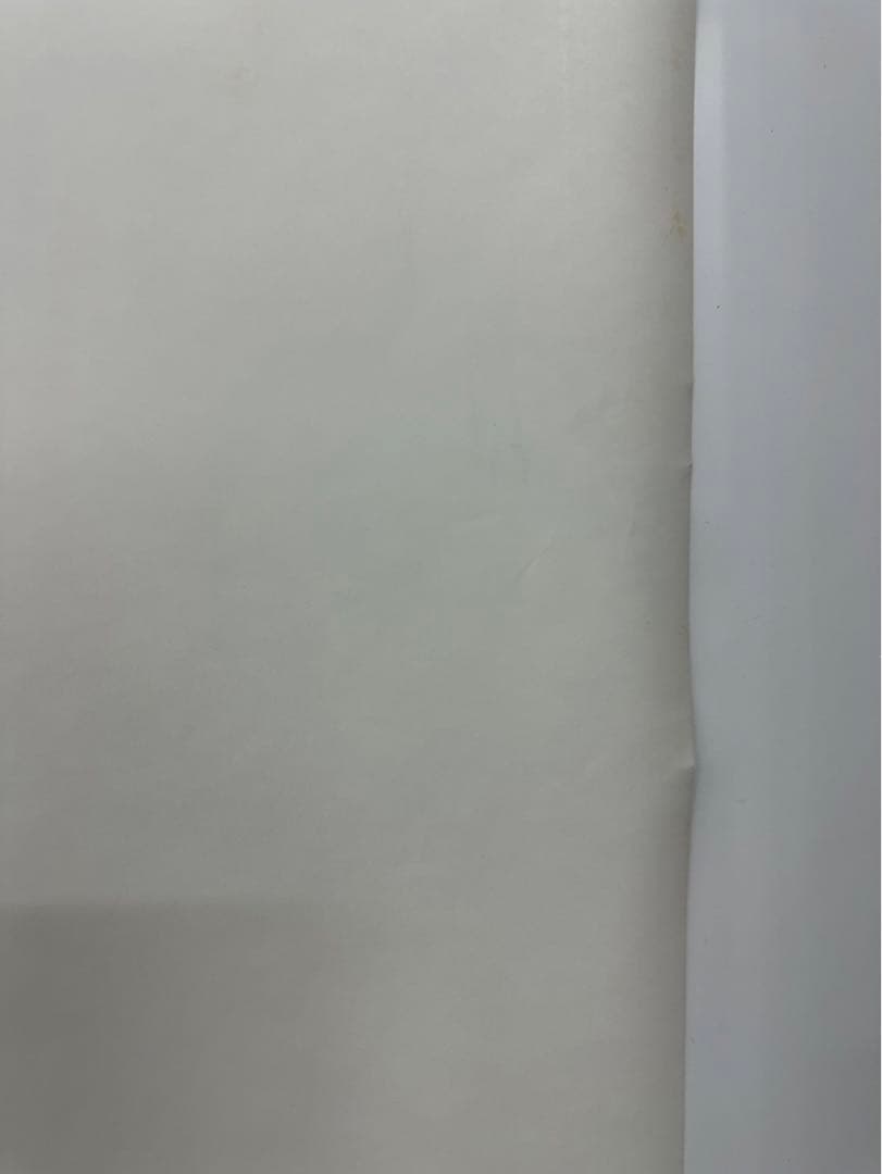 マ*コ様 【8】ラスト1枚　トトロ　ポスター　激レア　希少