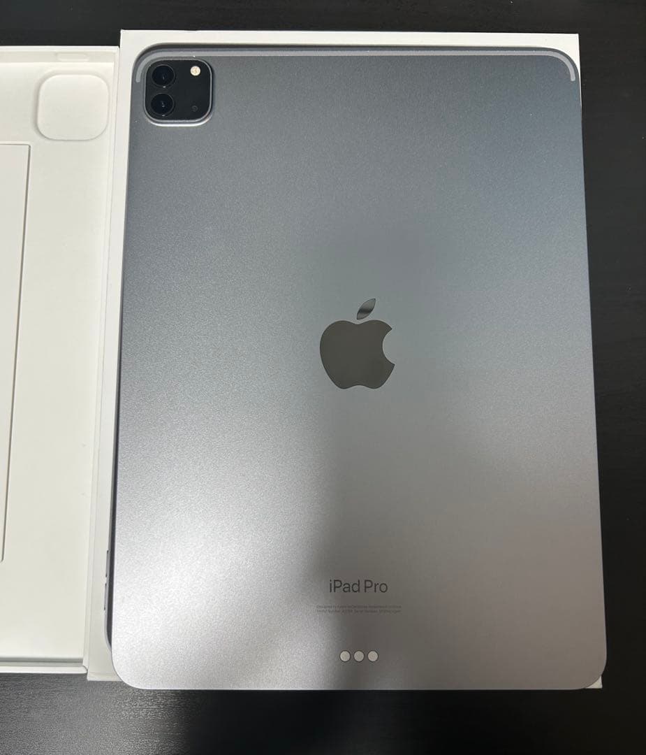 iPadPro11インチ第4世代256GB