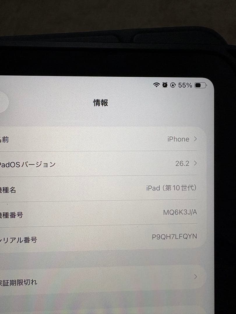 Apple iPad 本体 青色 カバー付き 10世代