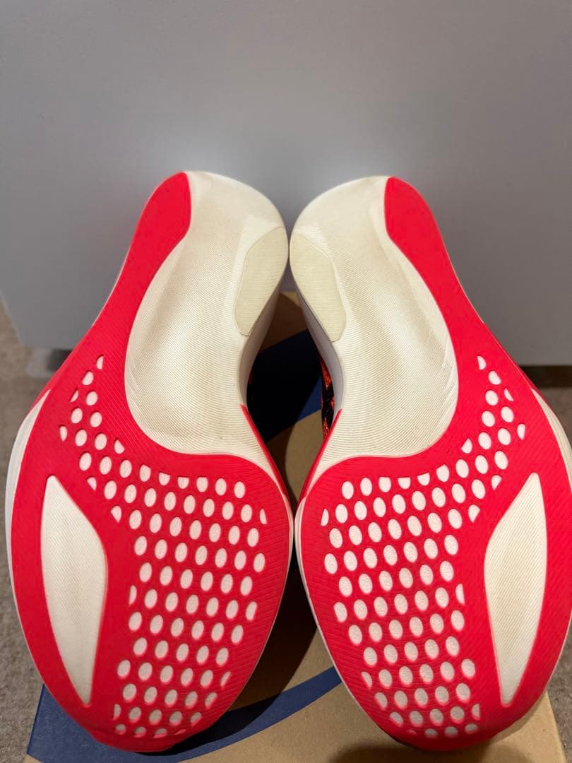 asics SPEED SKY TOKYO 28.0cm レッド