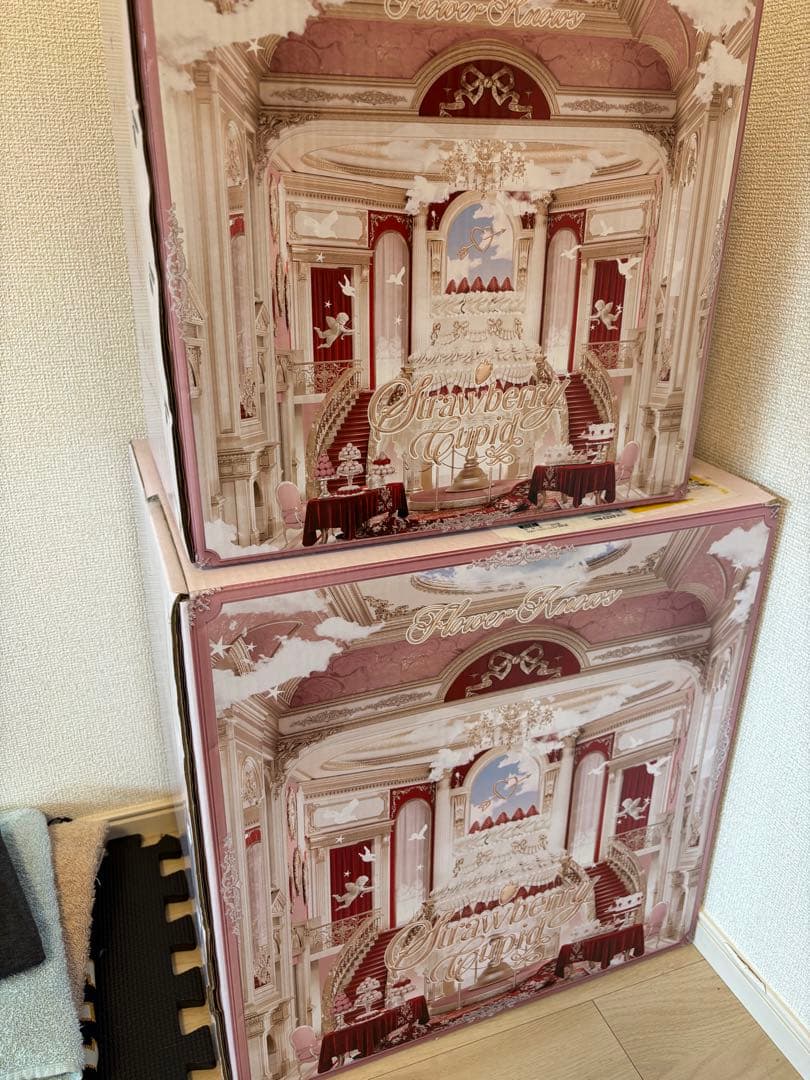 フラワーノーズ ストロベリーキューピッドシリーズ　ALL INボックス