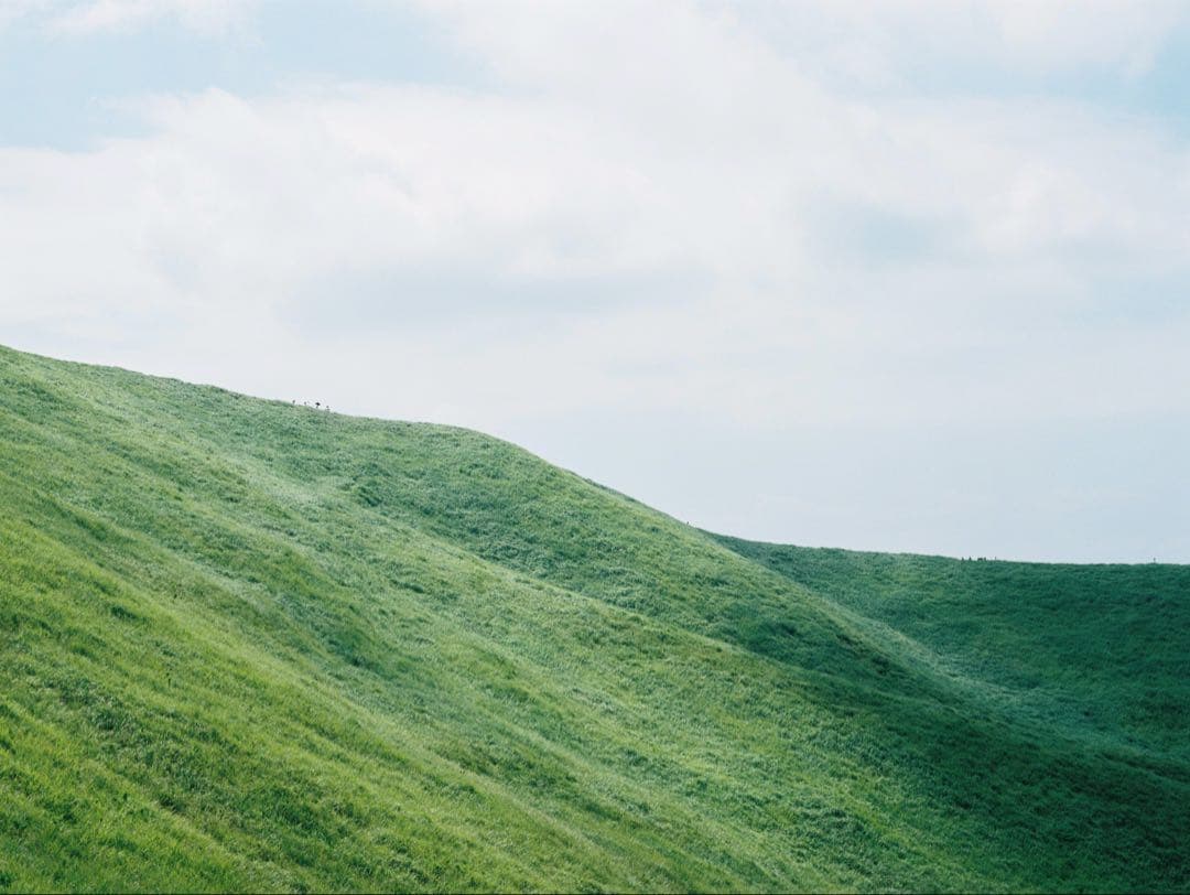 Mamiya Sekor C 80mm f1.9 作例あり