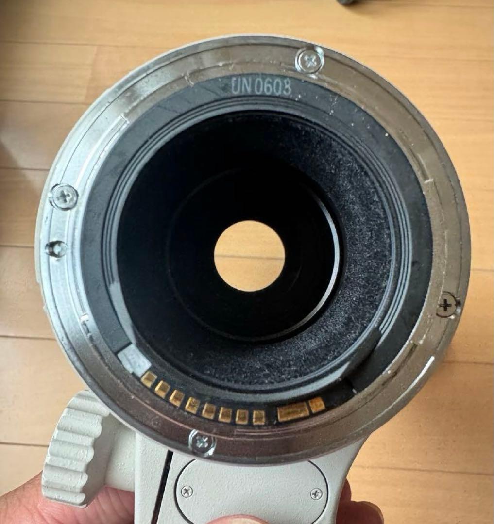 EF100-400mm F4.5-5.6L IS USM 望遠レンズ