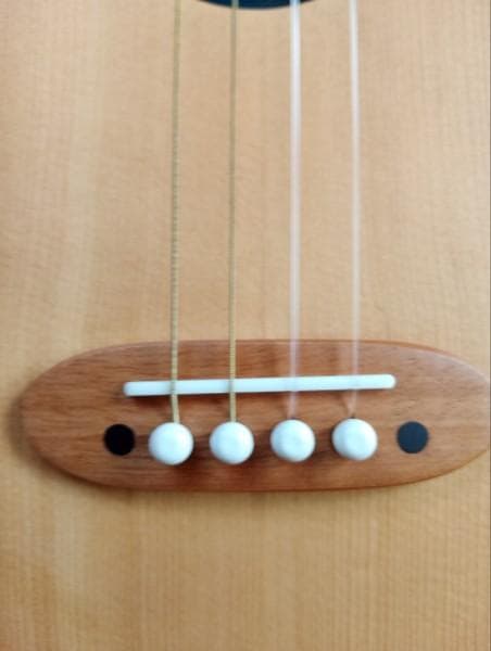 新品未使用品　一五一会　奏生（カナイ）