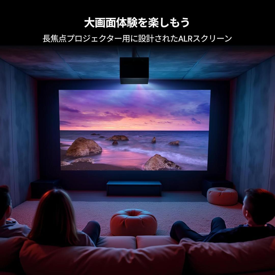 Valerion 100インチ フレネル ALR プロジェクター スクリーン