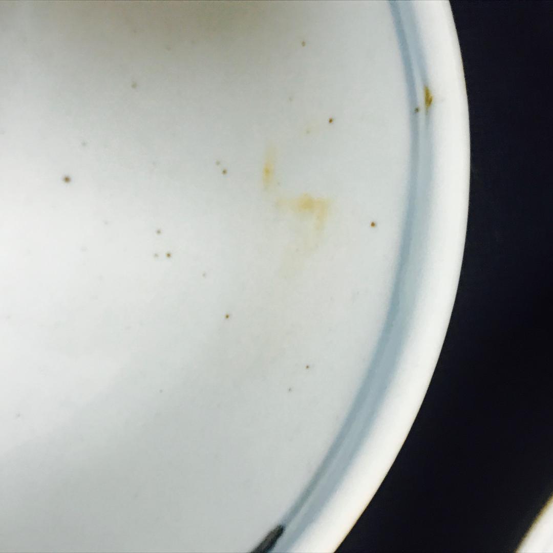 有田焼 佐藤走波 染錦 瓜絵 飯碗 お茶碗 5客セット 未使用