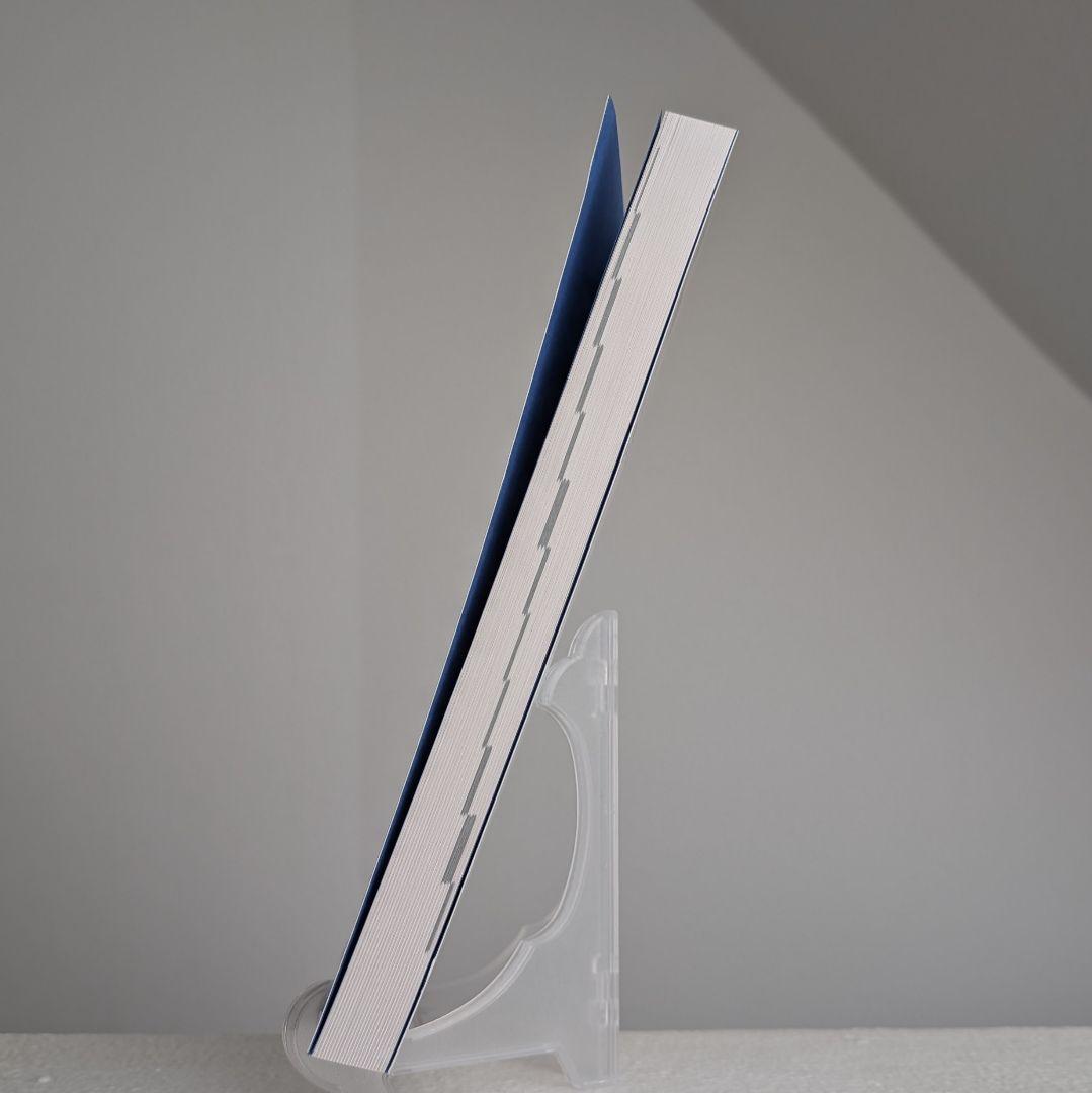 ESDM 【自閉スペクトラム症超早期介入法／服巻智子 】