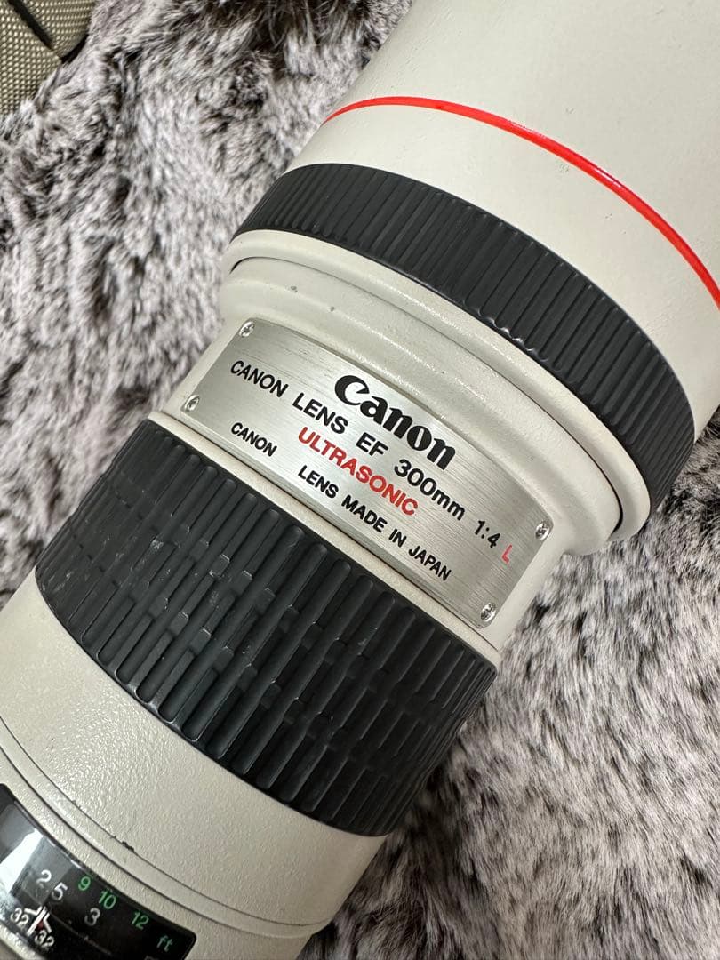 Canon EF 300mm f/4 L USM レンズ　単焦点