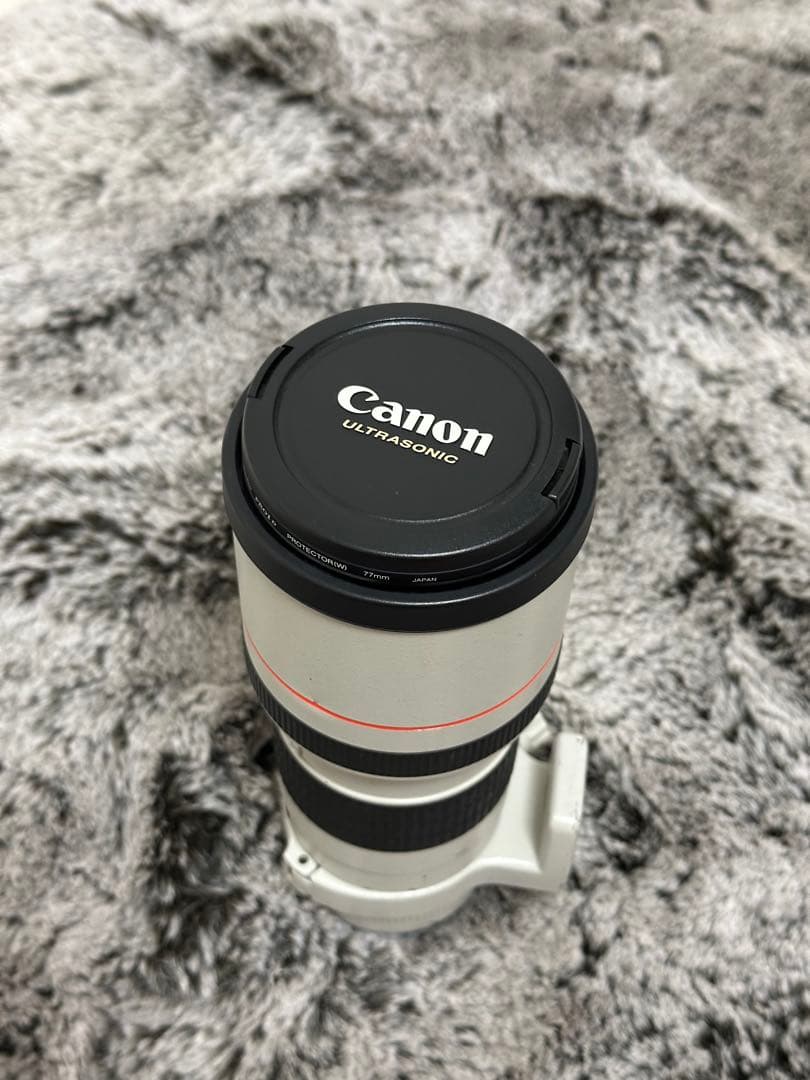 Canon EF 300mm f/4 L USM レンズ　単焦点