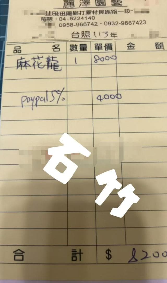 K*e様 アガベ チタノタ 麻花龍 極上強棘 美株 ブツブツ コレクシ Lize