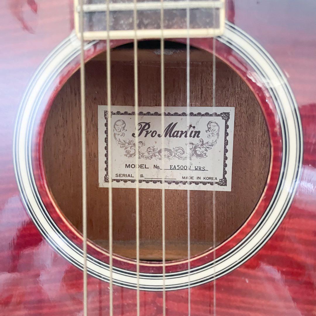 Pro Martin　custom　　EA500W　WRS エレアコ　ギター