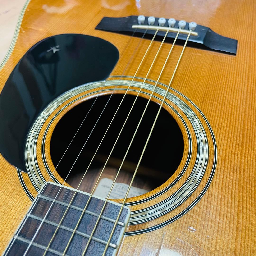 Ｋ.yairi ヤイリ　YW500P 1981年