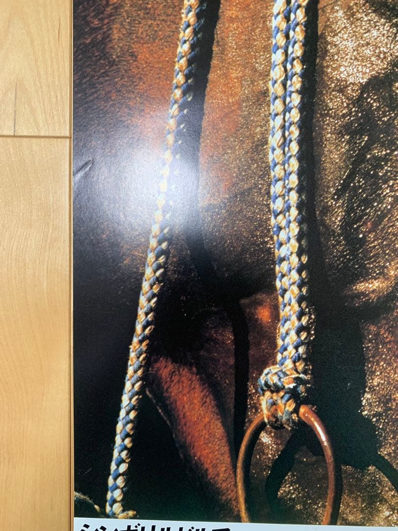 ヒーロー列伝　シンボリルドルフ　B3 ポスター