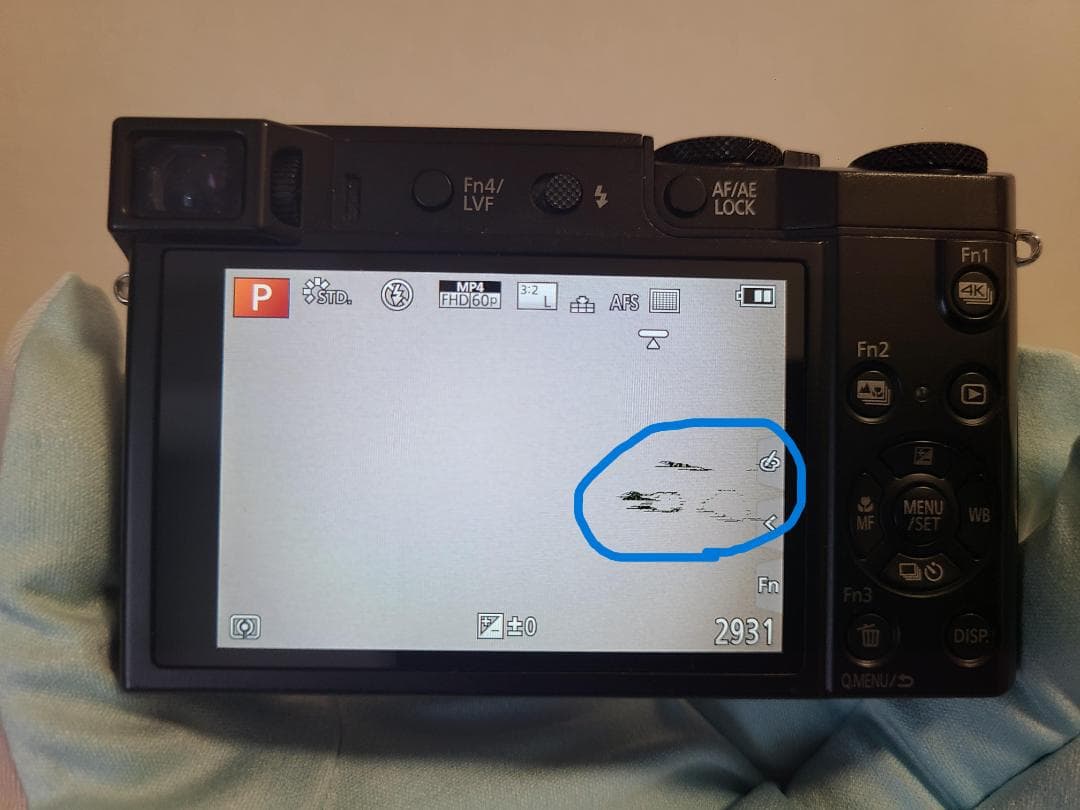 パナソニック　Panasonic LUMIX DMC-TX1 1372