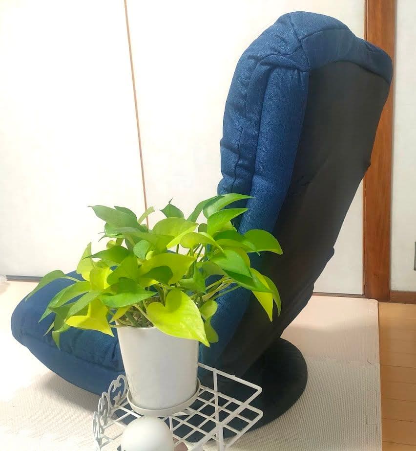 テレビが見やすい回転バケット座椅子