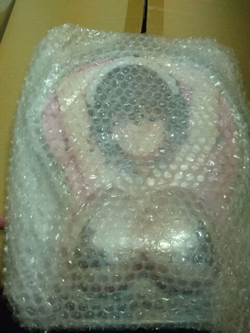 ひ*き様 コトブキヤくじ Nidy-2D- 「冥途武装」 S賞