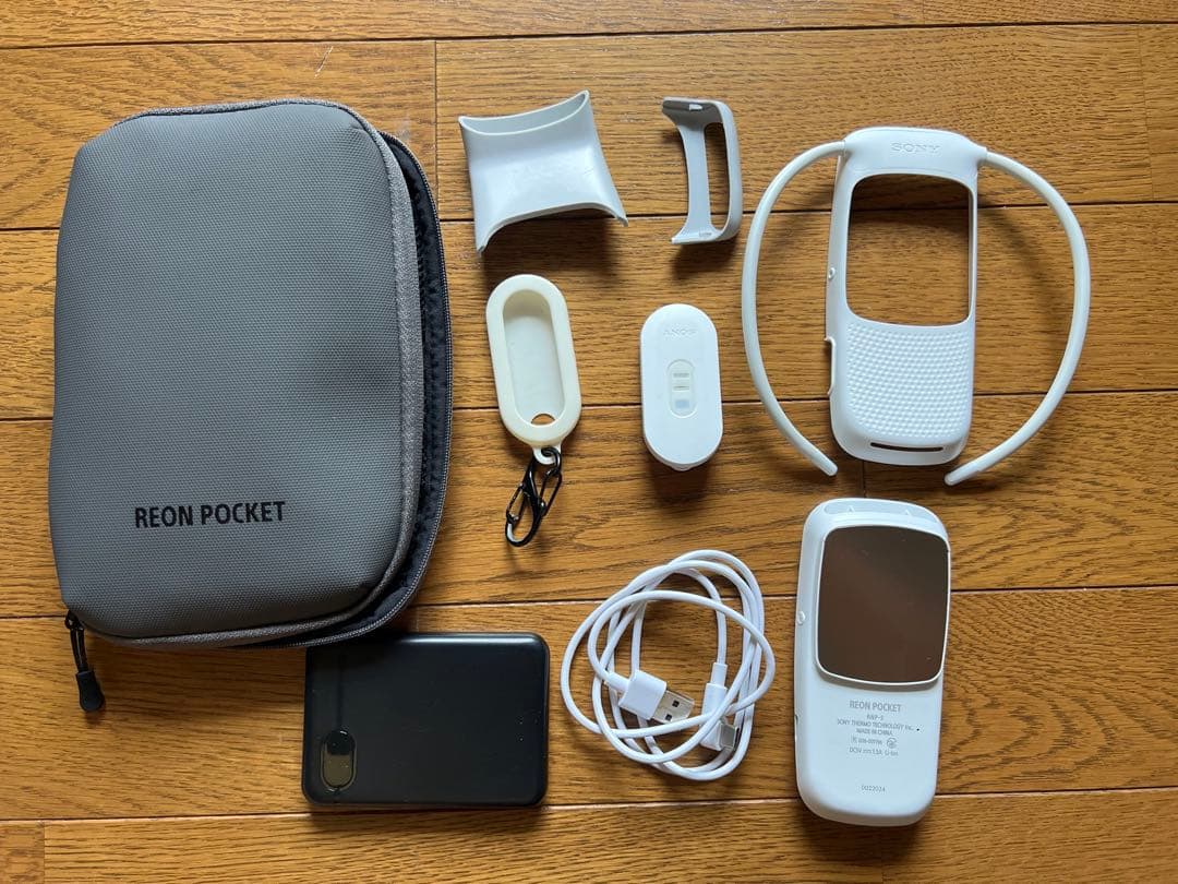 【Sony純正ケース付き】REON POCKET RNPK-5T相当