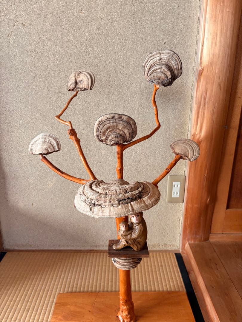 木製アートオブジェ 猿と貝殻風装飾