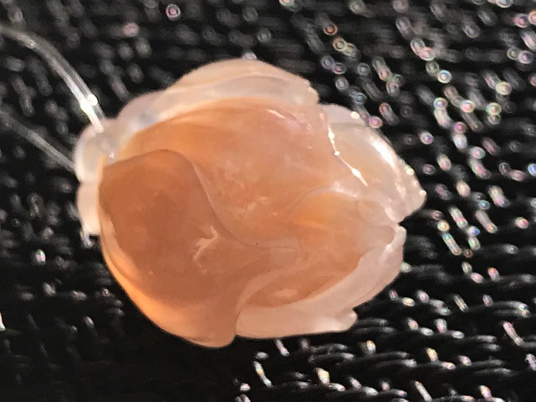 ゴビ石−1431 ゴビ瑪瑙　彫刻　『モクレン』