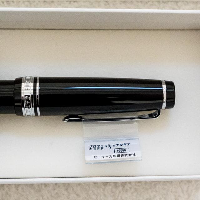 プロフェッショナルギア 銀 万年筆 太字(B)