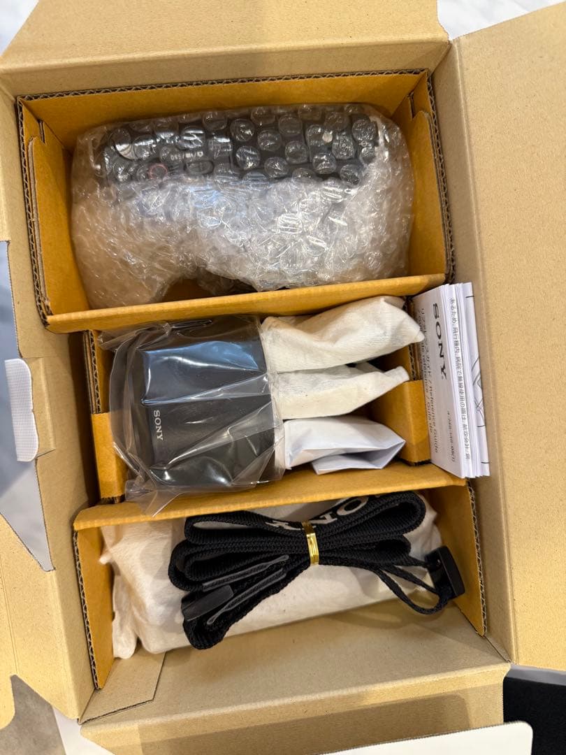 極美品SONY ZV-E10フルセット♪SD付お得装備！