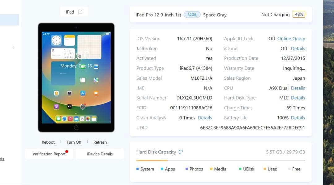 Apple ipad pro 第1世代 12.9 32GBバテッリ容量100%