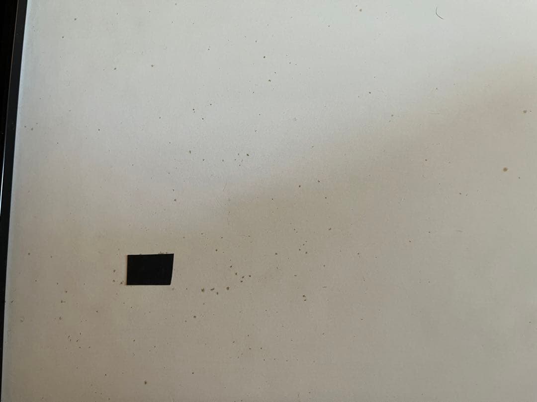 グーフィー鉛筆画レア