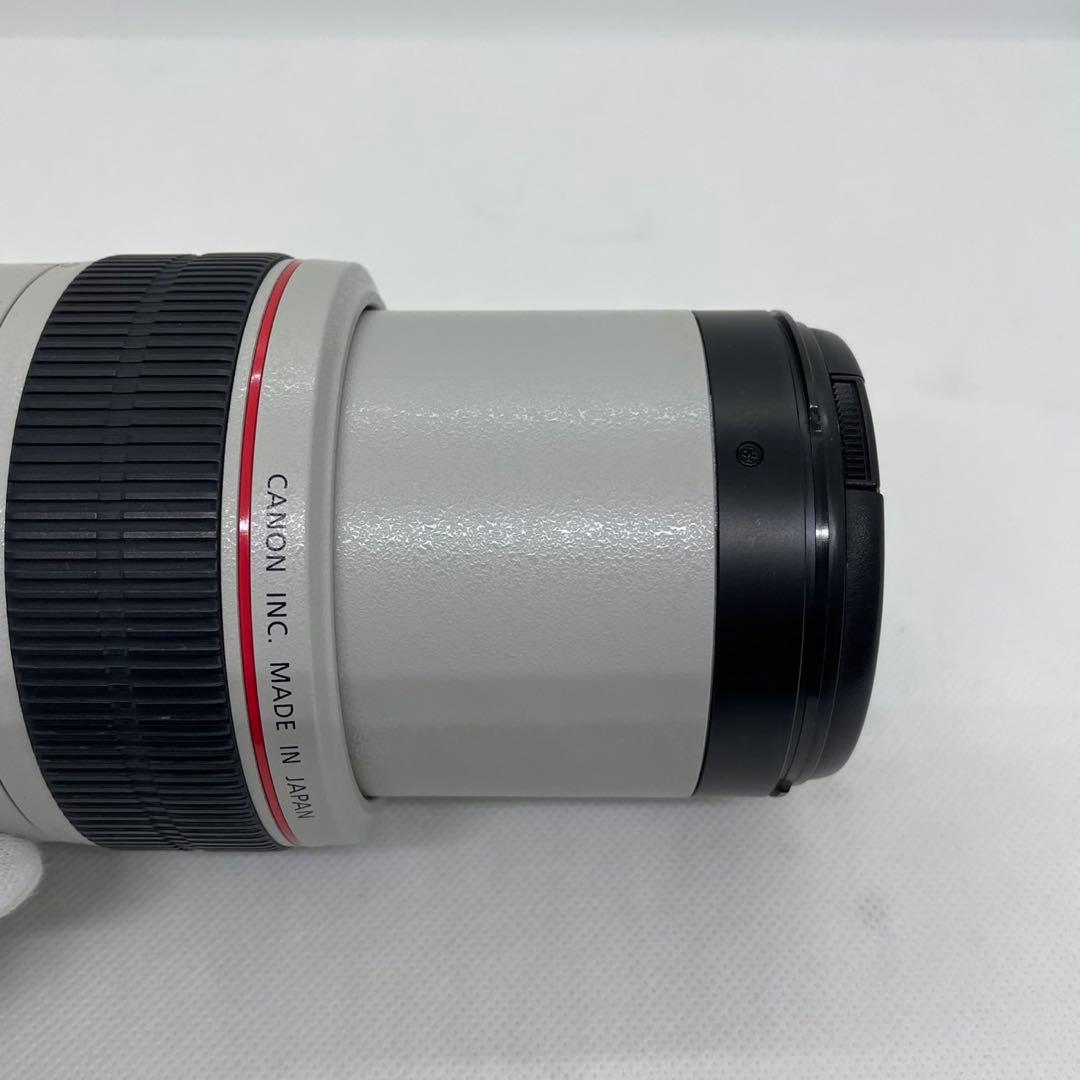 c*o様 Canon EF 70-300mm f/4-5.6 L IS USM