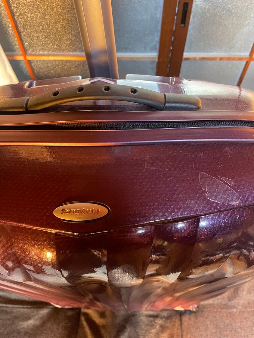 サムソナイト コスモライト トラベルバッグ/ハンドバッグ