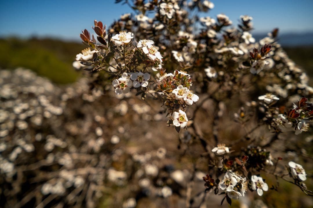 VILTROX AF 13mm F1.4 XF レンズ