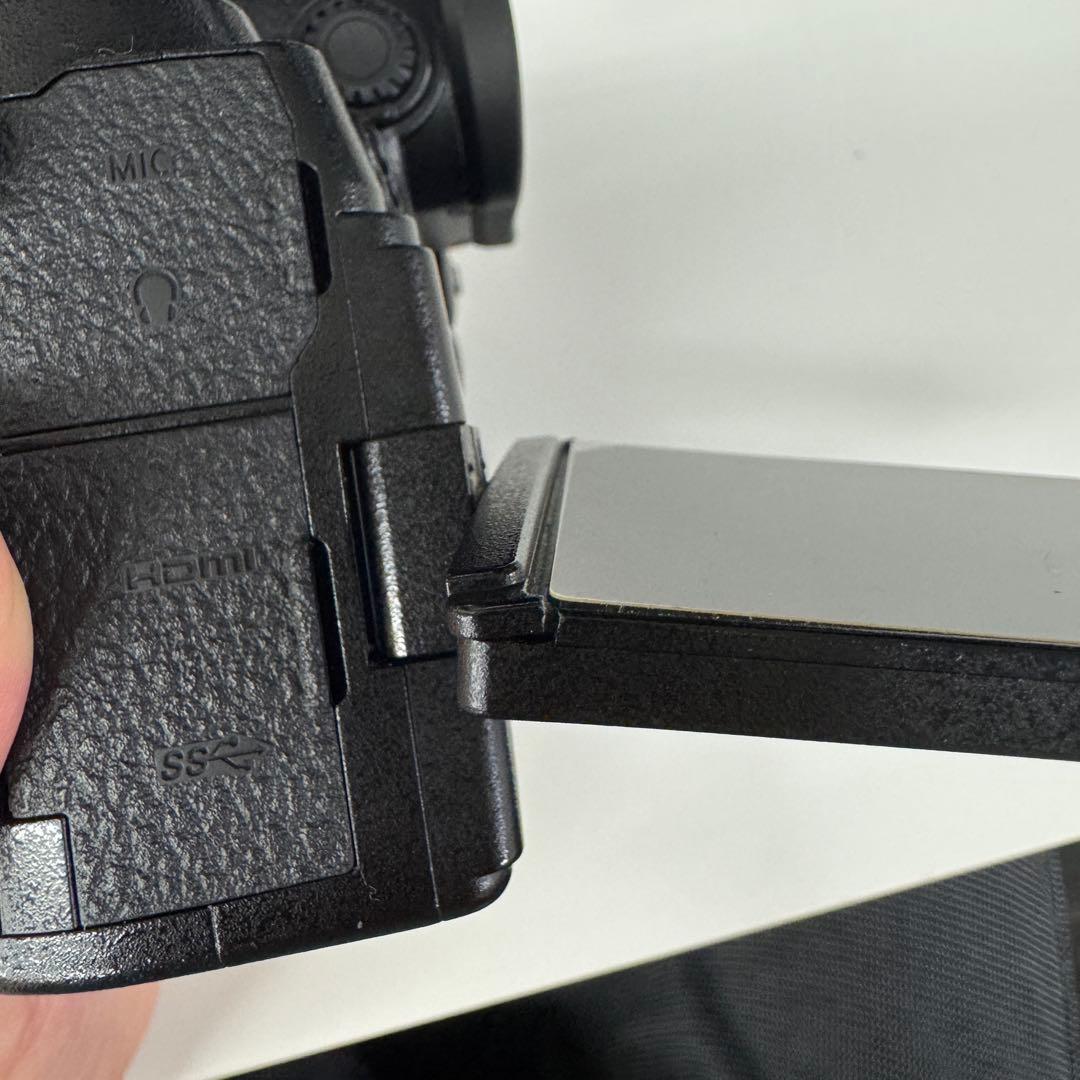 中古LUMIX S5 ミラーレス一眼 本体 + バッテリー×3 + 充電器