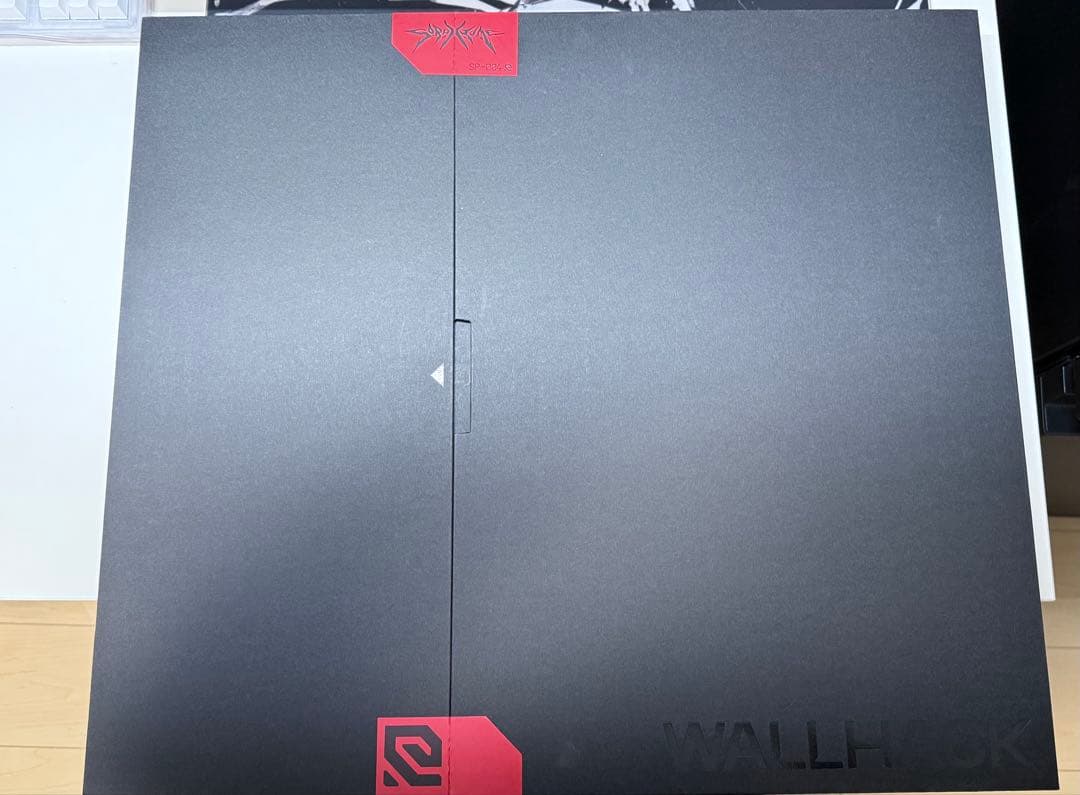 Wallhack SP-004 Frenzy Sora 値下げ不可