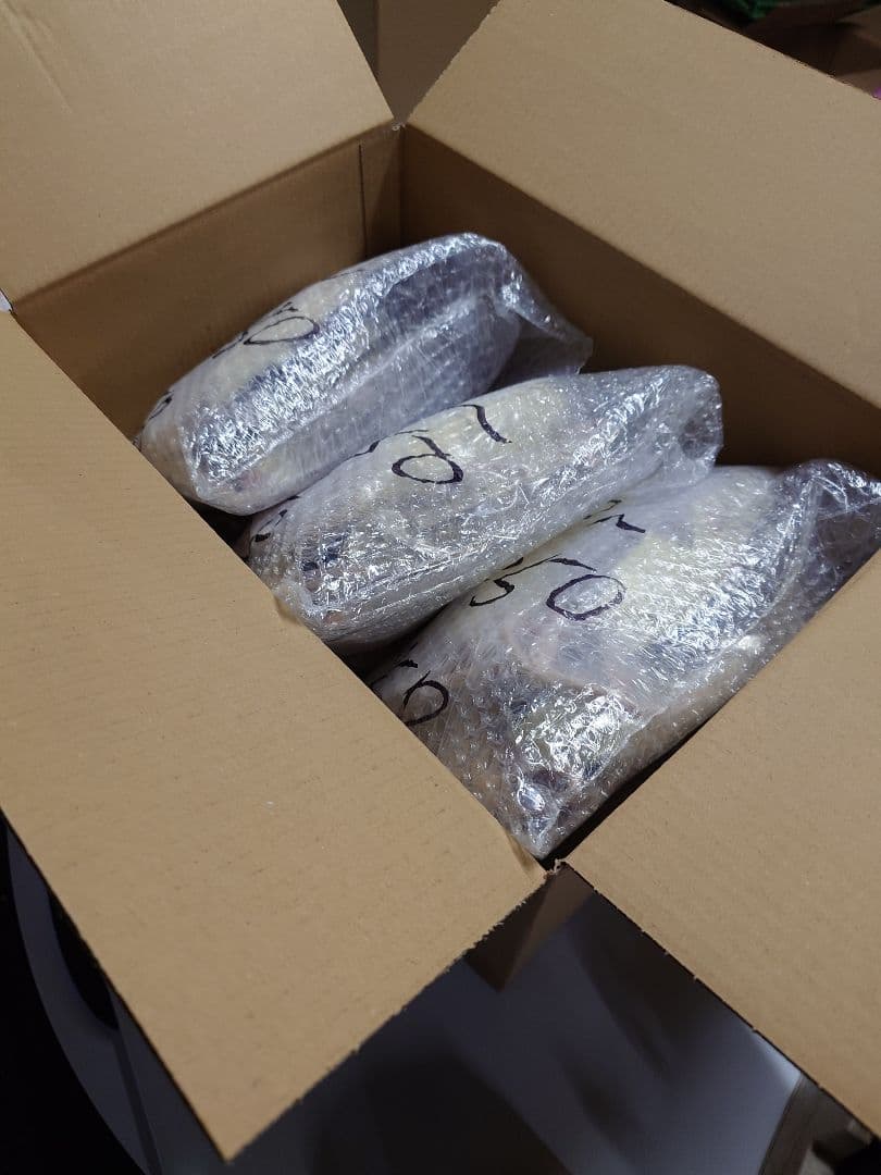 冷凍ラット 240~300g 30匹セット