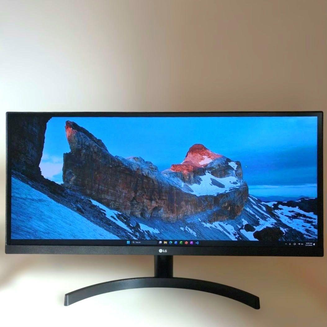 LG 29WL500-B ウルトラワイドモニター