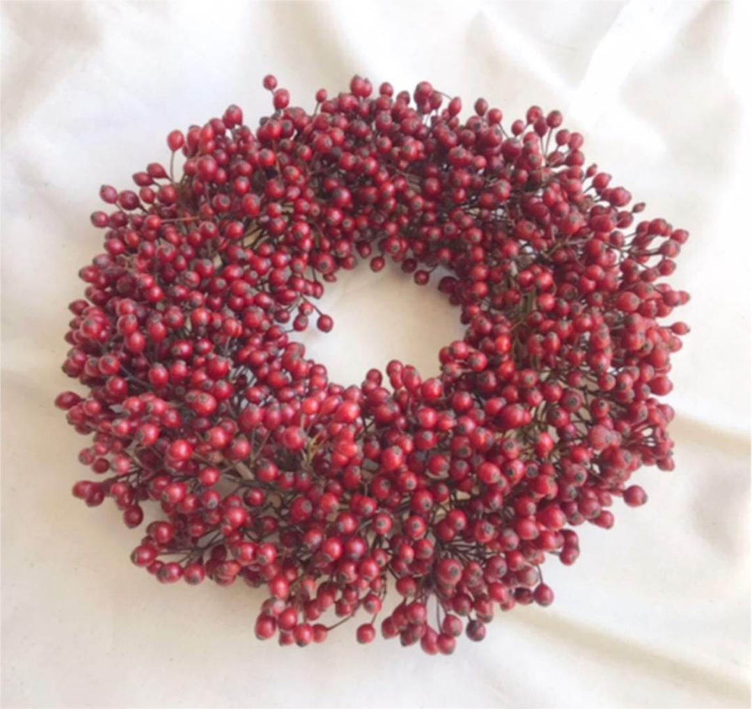 野ばらの実　リース　大きめ