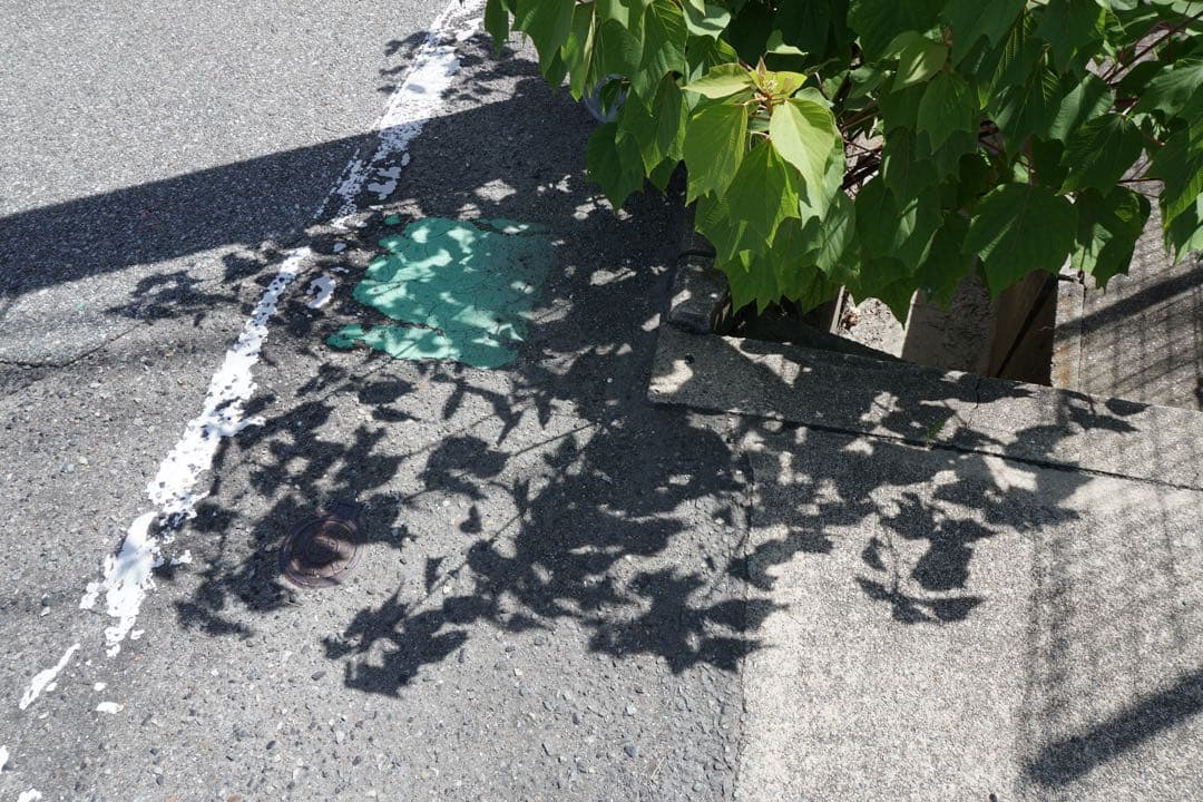 【作例あり】SONY α6300 ミラーレス機 デジタルカメラ